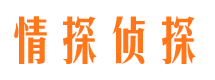 天柱外遇调查取证